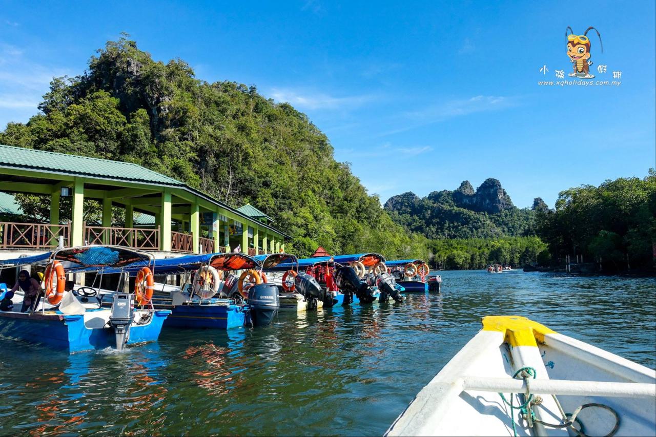 Mangrove Tour Langkawi: Eksplorasi Keindahan dan Manfaat Ekosistem Pesisir